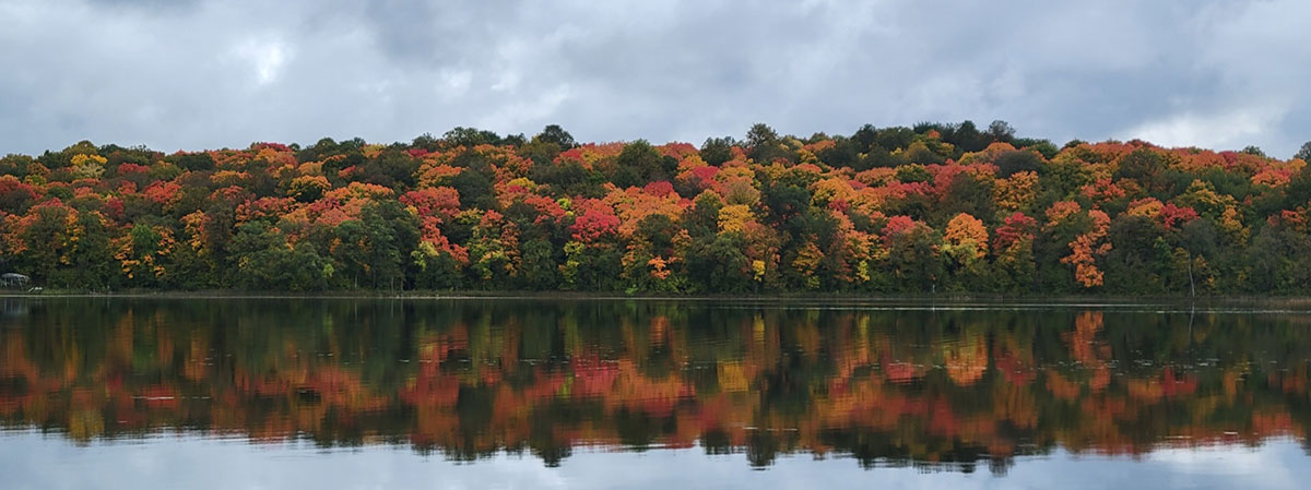 Sybil Lake Association